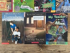 BOYS Chapter Books Lot of 11 ~ 8-12 Years Old – Classroom Library Homeschool