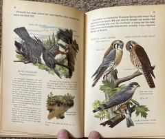 VTG Nature Notebook Robert Candy 1953 HC
