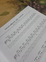 Paco De Lucia 14 Pieces For The Flamenco Guitar Book,+ Tabs 102 Pages