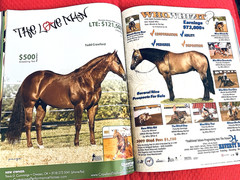 SALE ENDS 6/15! 2008 Quarter Horse Journal STALLION EDITION Book, PEPTOBOONSMAL