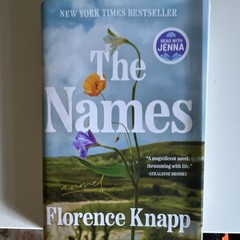 Florence Knapp The Names Hardcover Novel Penguin Dust Jacket