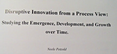 Disruptive Innovation From A Process View von Neele Petzold