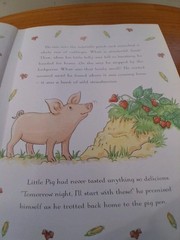 The Nursery Collection Stories & Rhymes For The Very Young Hard Cover 383 Pages