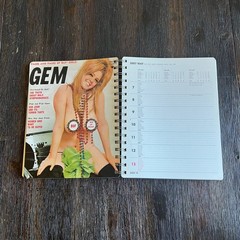 Girly Magazines 2007 Taschen Diary Vintage Pin Ups Covers Art