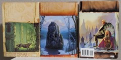 Tad Williams = MEMORY, SORROW, AND THORN = complete set – 3 BCE hardcovers