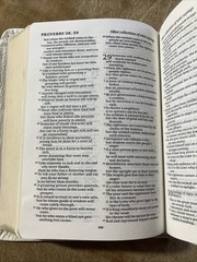 Revised English Bible (REB) White French Morocco Leather Rare Cambridge REB172W
