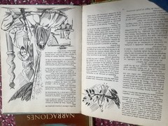 Cuentos De Hadas Españoles, Orientales, Africanos E Italianos