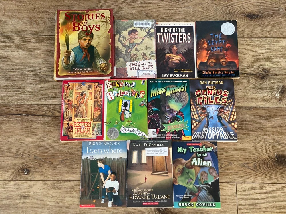 BOYS Chapter Books Lot of 11 ~ 8-12 Years Old – Classroom Library Homeschool