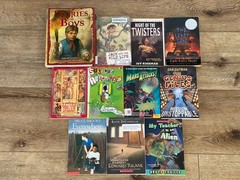 BOYS Chapter Books Lot of 11 ~ 8-12 Years Old – Classroom Library Homeschool