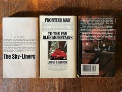 Vintage WESTERN PB Book Lot of 10 L’Amour Rigoni Elston Brand Patten Browne VG++