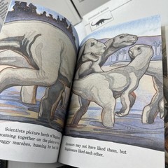 Dinosaur Hardcover Books 1991 Janet Riehecky The Child’s World Series 18 Books