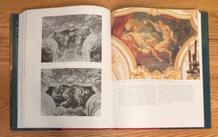 Rococo Interior: Decoration and Social Spaces in Early Eighteenth Century Paris