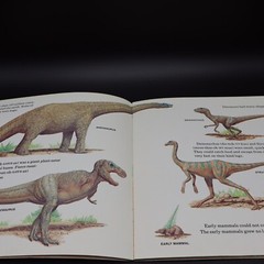 Prehistoric Animals By Peter Zallinger Childrens Book Random House Vintage 1978