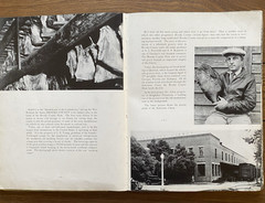 Empire Georgia Today in Pictures and Paragraphs 1936 First Edition HC