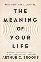 The Meaning of Your Life: Finding Purpose in an Age of Emptiness Paperback