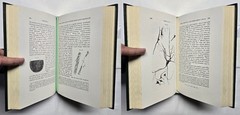 Cellular Pathology by Rudolph Virchow (The Classics of Medicine Library) 1978