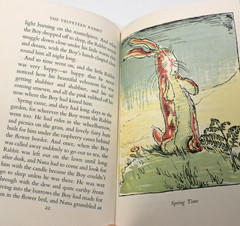 The Velveteen Rabbit Margery Williams Vintage 1975 Avon Books