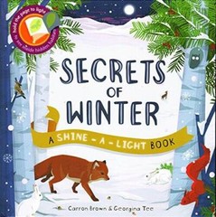 Secrets of Winter Secrets (A Shine-A-Light Book ) – Hardcover – VERY GOOD