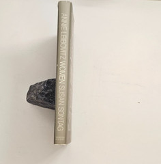 Women Annie Leibovitz Susan Sontag Hardcover 1999 Photography Book Monograph