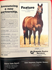 SALE ENDS 6/15! 1986 QUARTER HORSE JOURNAL Book – DYNAMIC DELUXE, ZAN PARR BAR