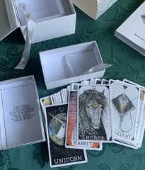 The Wild Unknown Animal Spirit Deck and Guidebook (Official Keepsake Box Set…