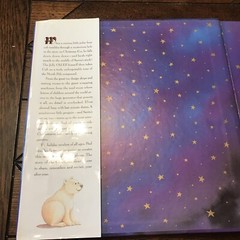 The Christmas Bear by Paul Stickland and Henrietta Stickland (1993, Hardcover)