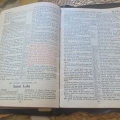 1901 HOLY BIBLE RED LETTER EDITION OLD AND NEW TESTAMENT LARGE TYPE U.S.A.