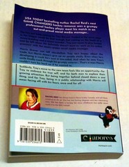 Role Model Rachel Reid Game Changers Book 5 PB VGC