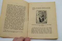 A Seraphic Flower Sister Maria Assunta Franciscan Missionary 1923 62 Pages