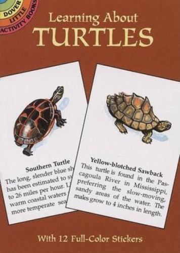Learning about Turtles by Sovak, Jan