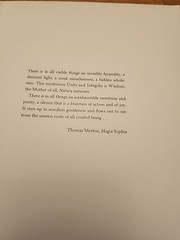 A HIDDEN WHOLENESS THE VISUAL WORLD OF THOMAS MERTON John Howard Griffin 1979