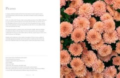 Chrysanthemums: Beautiful Varieties for Home and Garden (Flowers), Slade, Naomi,