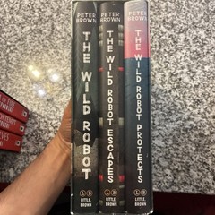 the wild robot boxed Set