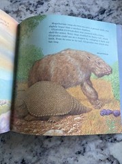 Please Read to Me Ser.: Prehistoric Animals by Peter Zallinger (1978)