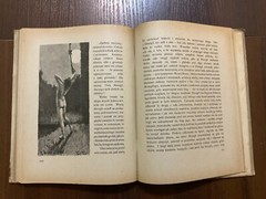 Lviv 1921 DRUGA KSIEGA DZUNGLI RUDYARD KIPLING Polish book VERY RARE