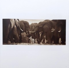 Homage by Graham Springer First Edition 2015