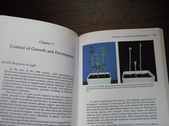 Botany For Gardeners by Brian Capon 1995 PB