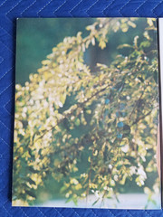 Lot of 3 Playboy Press Special EVE TODAY Book 1,2,3