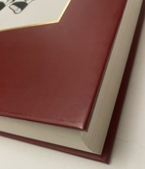 Dilbert 2.0 20 Years of Dilbert By Scott Adams 1st Ed Anniversary Slipcase/DVD