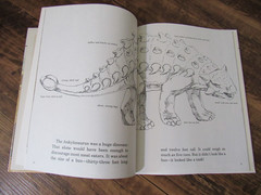 Lot of 22 Discovering Dinosaurs Books By Janet Riehecky Childs World Hardcover