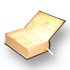 THE HOLY BIBLE King James Version KJV Deluxe Illustrated Bounded Leather