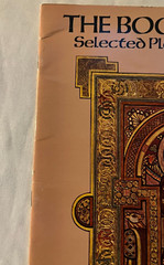 The Book of Kells Selected Plates in Full Color Dover Fine Art Paperback used