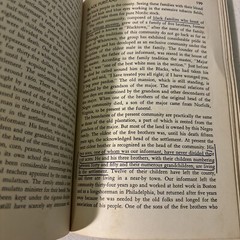 The Negro Family in the United States by Edward Franklin Frazier Nathan Glazer