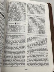 The MacArthur Daily Bible John F MacArthur Jr Thomas Nelson 2003 Softcover Brown