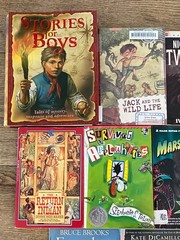 BOYS Chapter Books Lot of 11 ~ 8-12 Years Old – Classroom Library Homeschool