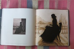 Silhouette: The Art of the Shadow~ Emma Rutherford Hardcover Dust Jacket Rizzoli