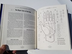 BRAND NEW 2023 BOOK DIVINATION A GUIDE TO PREDICTING FUTURE MICHAEL JOHNSTONE