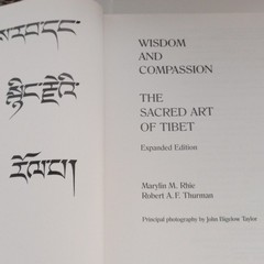 Wisdom and Compassion Expanded Edition Hardcover Harry N. Abrams 2000 Rhie Thur…