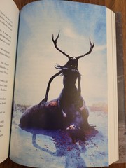 Buffalo Hunter Hunter by Stephen Graham Jones – SST Signed & Numbered w Slipcase