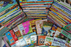 Lot of 30 Children’s Kids Chapter Books Instant Library Variety Bundle